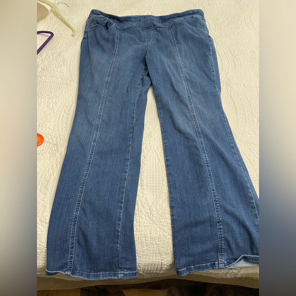 Belle by Kim gravel 24w jeans